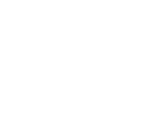 Justice keurmerk particuliere beveiliging - ND08463